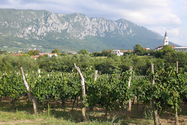 La vallée de Vipava un joyau caché en Slovénie entauvergne fr