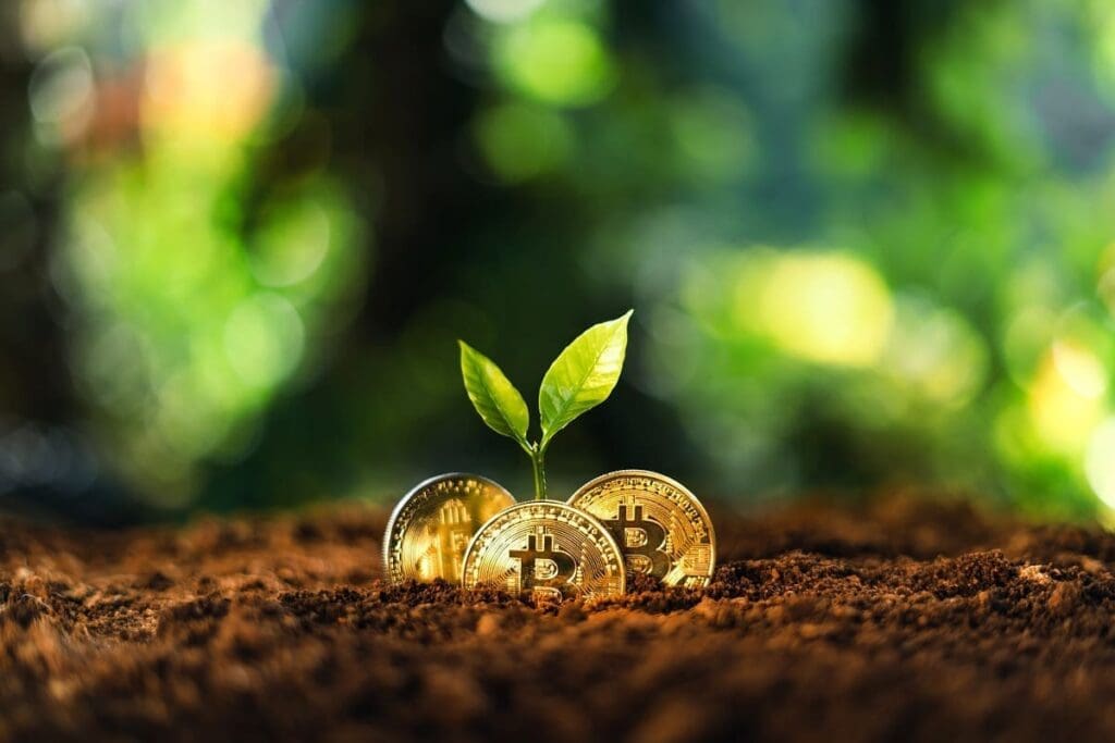 Le Bitcoin, une opportunité d&rsquo;investissement pour les institutionnels ?