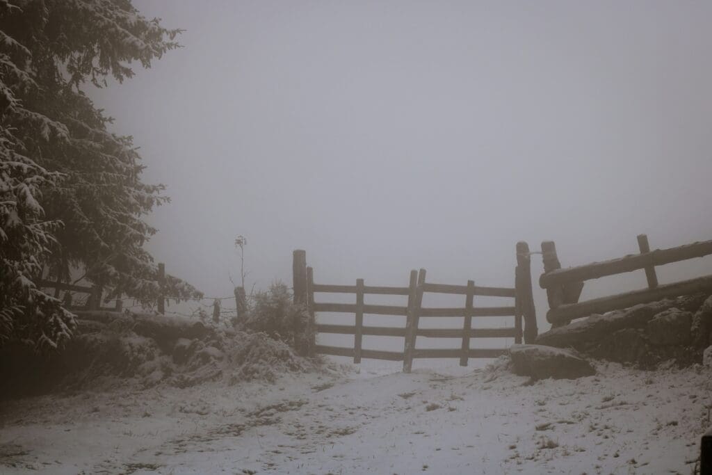 Cantal : À la découverte des trésors cachés de la montagne ?