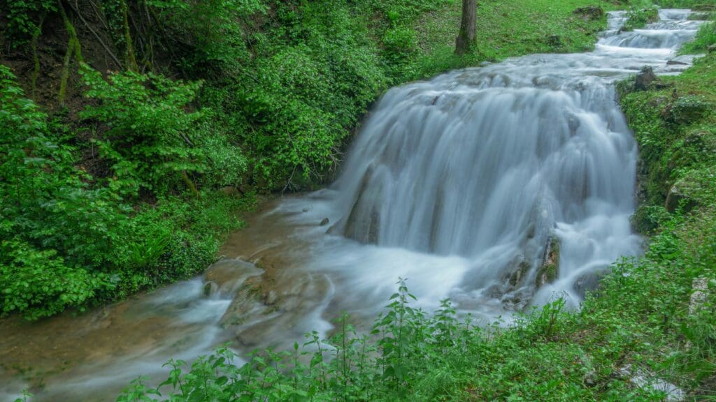 Comment profiter d&rsquo;une randonnée en famille en pleine nature ?