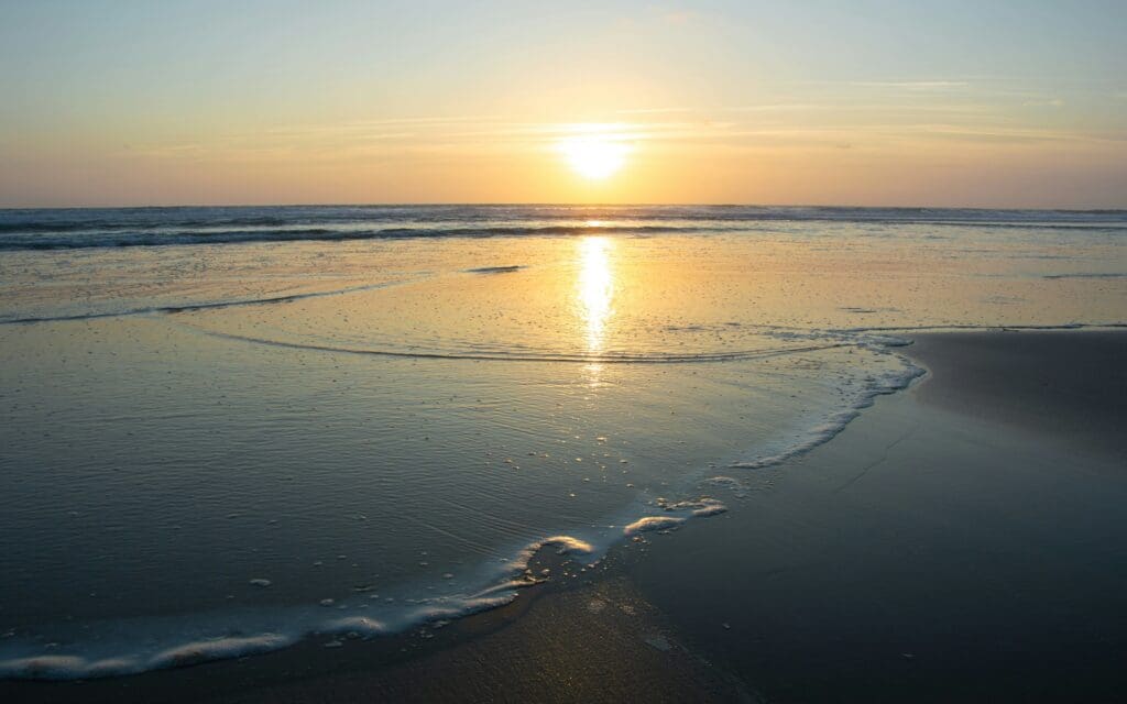 Connaissez-vous la splendide Plage des Arbousiers ?