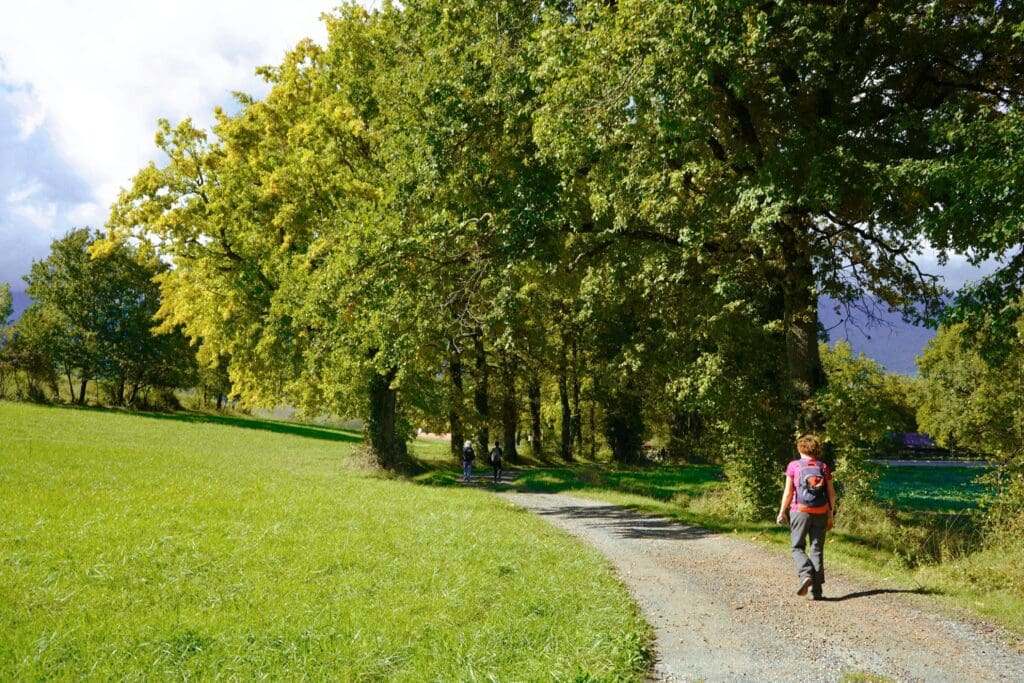 Envie de découvrir la nature autrement avec les randonnées pédestres ?
