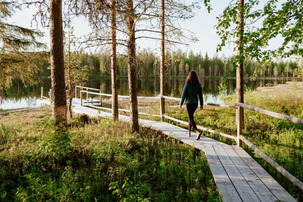 Randonnée en Laponie finlandaise en été
