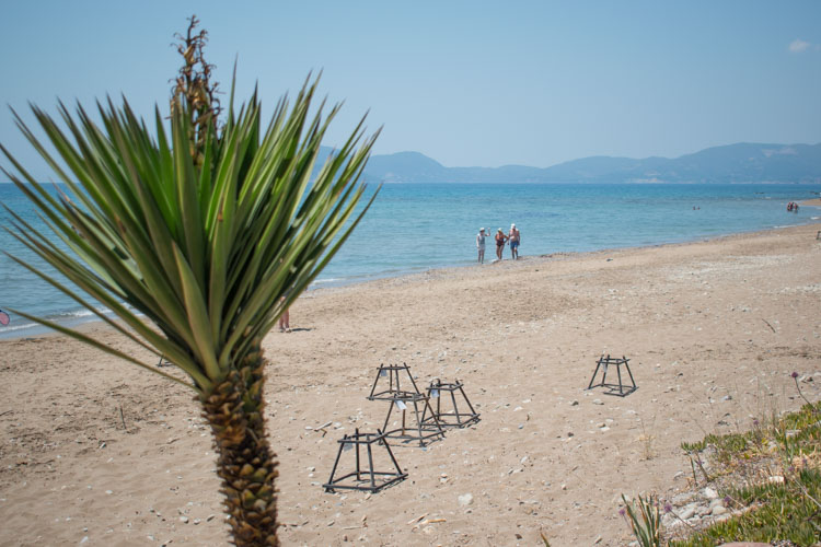 Les plus belles plages Zakynthos Dafni Beach