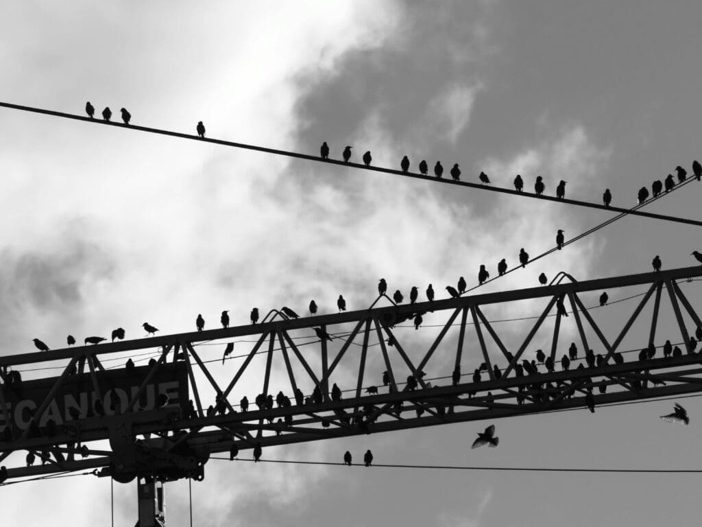 Paris – Lisbonne : Comment trouver le vol parfait pour votre voyage ?