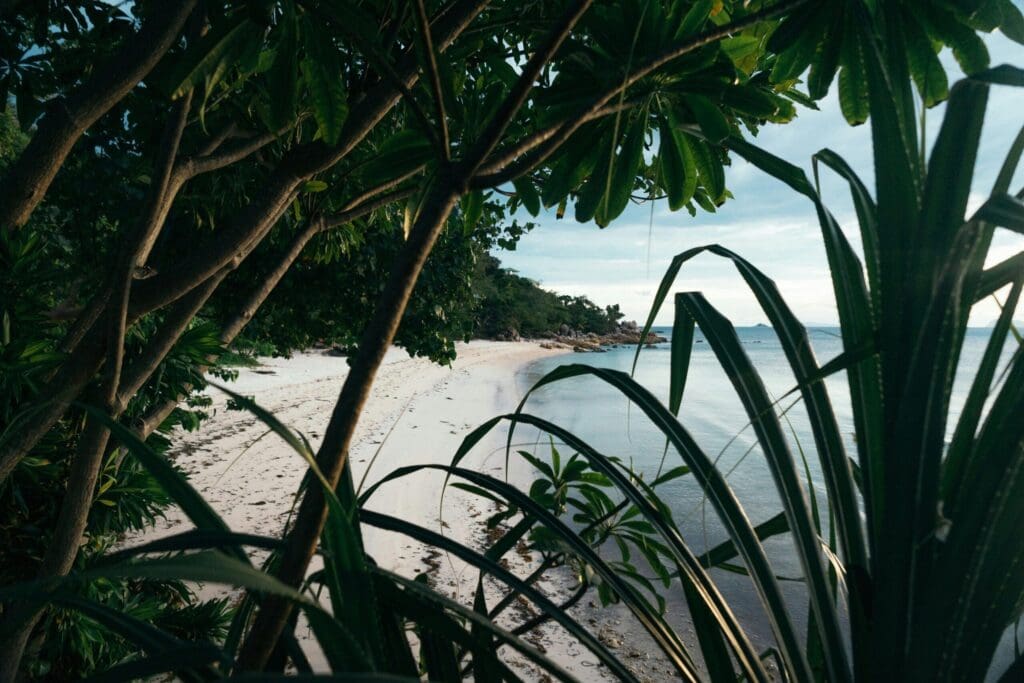 Pourquoi choisir une plage privée à La Grande Motte ?