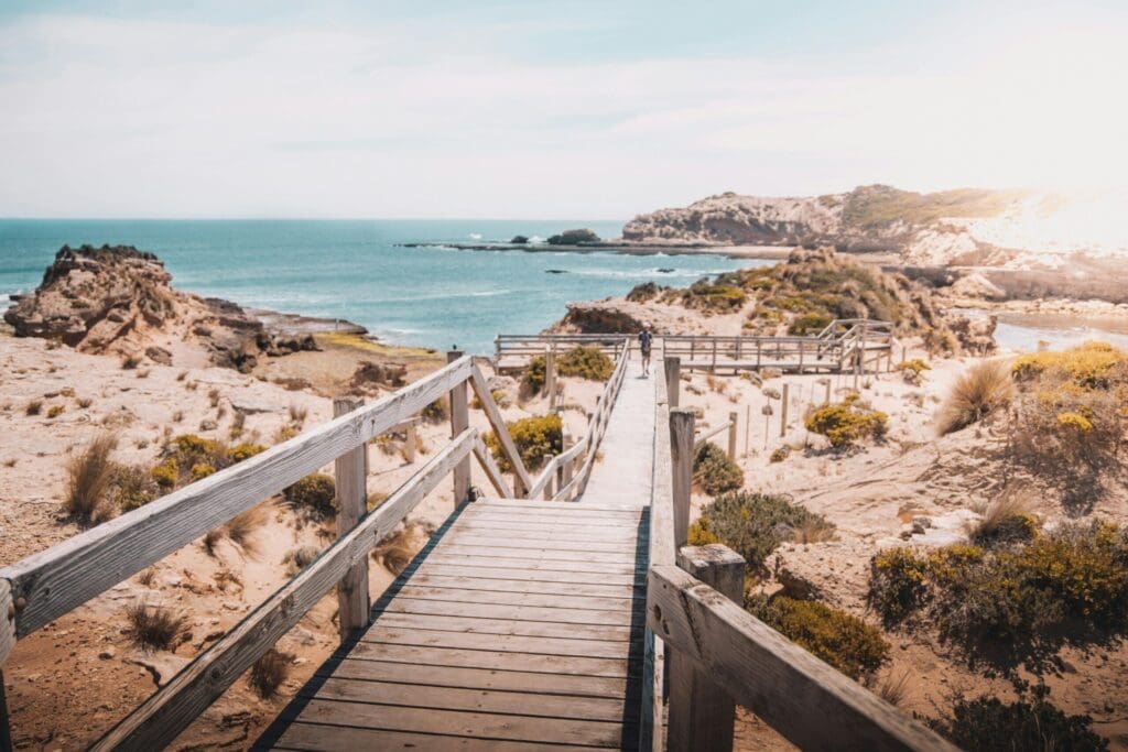 Pourquoi devriez-vous choisir les îles Canaries comme destination de voyage ?