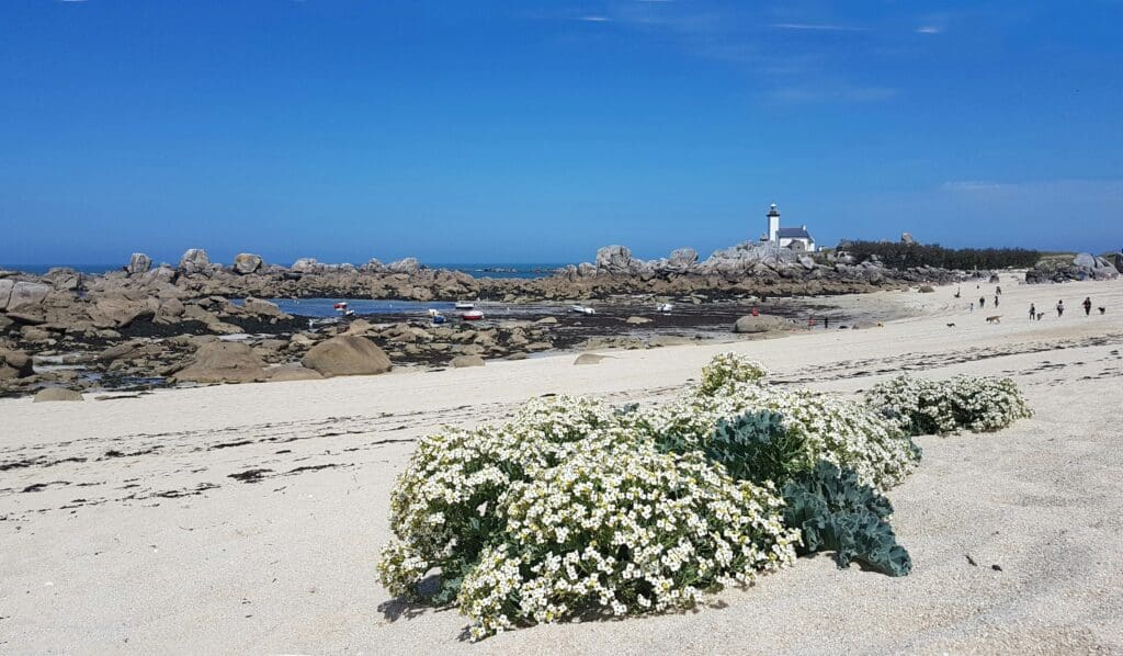 Pourquoi la plage Bagatelle à Saint-Tropez est-elle si prisée ?