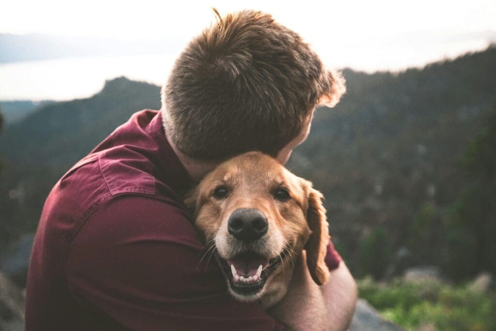 Quelle caisse de transport choisir pour votre chien ?