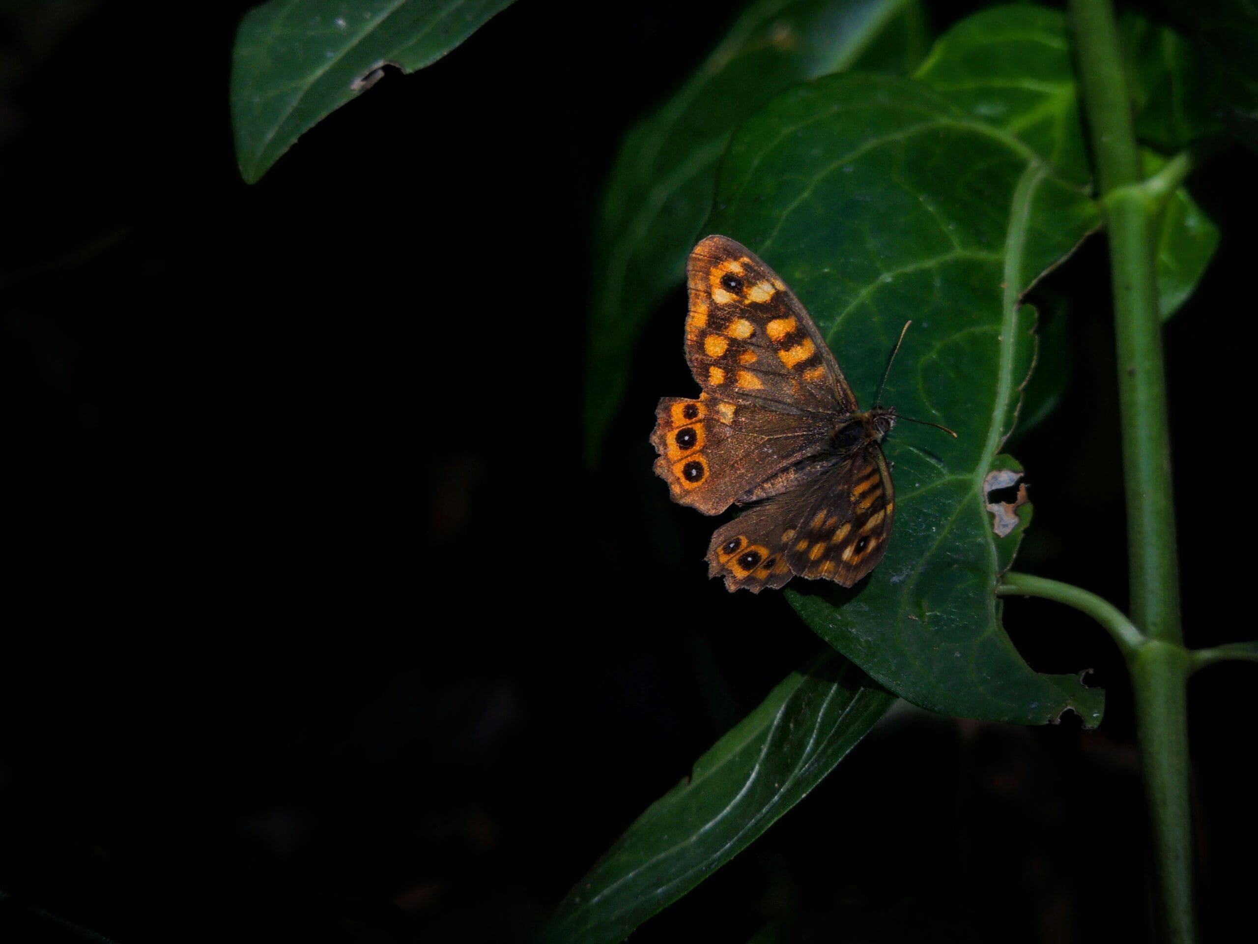 découvrez les destinations incontournables en algérie : des sites historiques fascinants, des plages paradisiaques et des paysages à couper le souffle vous attendent pour une aventure inoubliable.