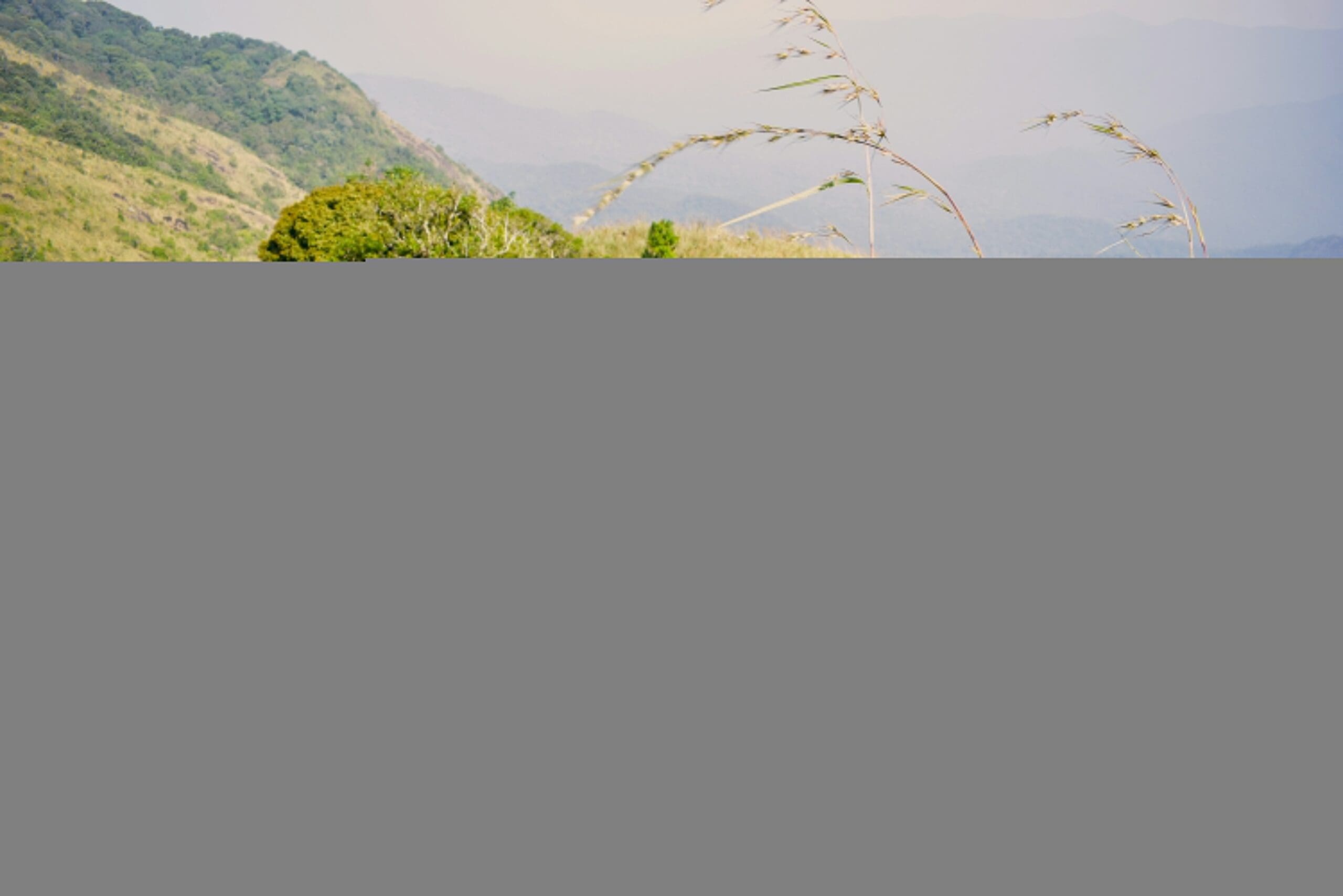 découvrez les destinations incontournables à visiter dans le loir-et-cher, entre châteaux majestueux et nature préservée.