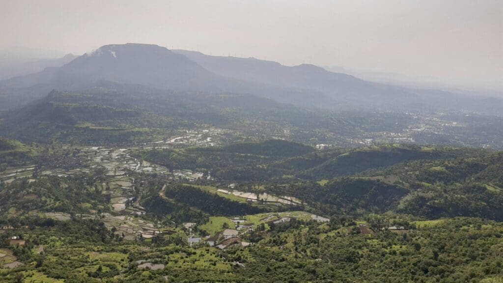 Quels trésors naturels découvrir lors d&rsquo;une randonnée à Peyriac-de-Mer ?