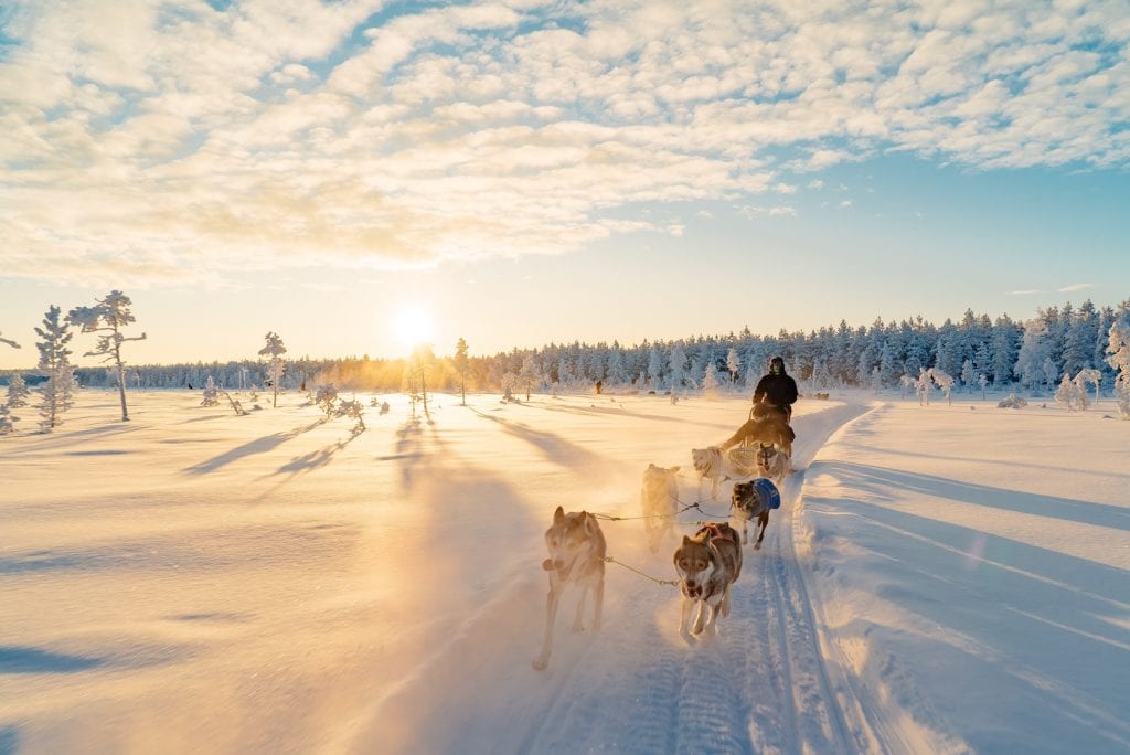 Voyage en Laponie : vivez le voyage hivernal ultime (et abordable !) avec des huskies et des aurores boréales