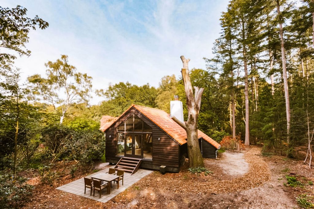 Studio cabane dans les arbres dormant dans la forêt de Veluwe