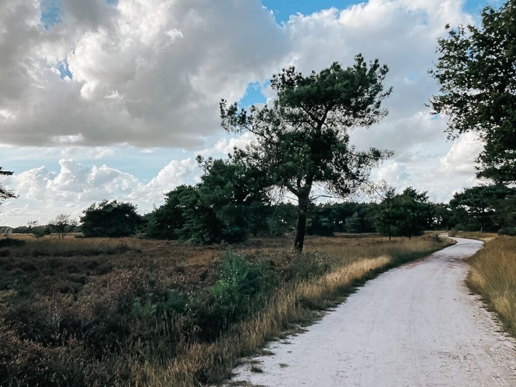 Regte Heide : itinéraires de randonnée et conseils pour une journée