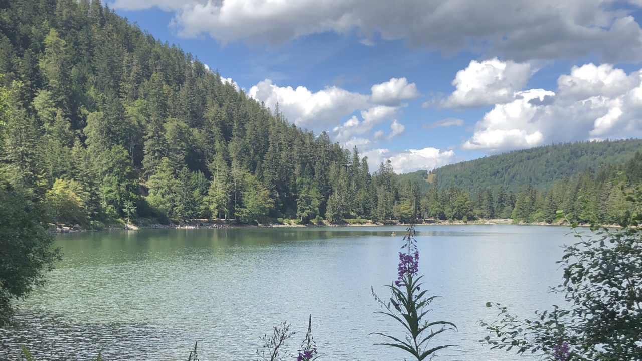 WeAreTravellers, sites Vosges, Lac des Corbeaux