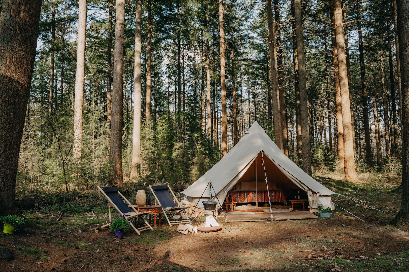 Bois d'hiver evyvanNispen-92