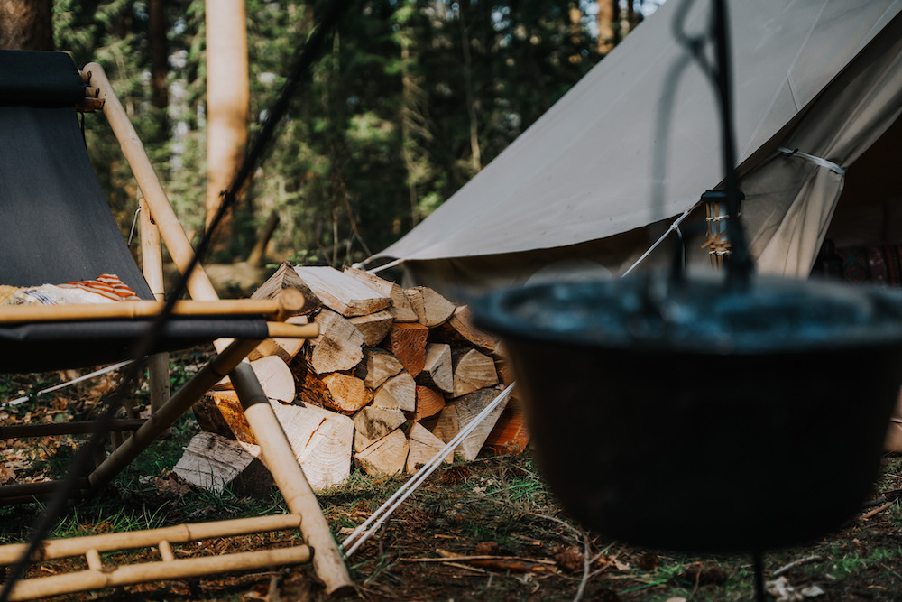 Le printemps de Winterwood