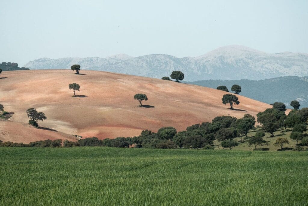 À la Découverte de l&rsquo;Andalousie en 15 Jours: Votre Guide Ultime du Camping-Car