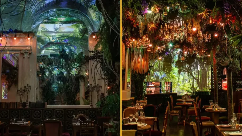 À la Découverte des Restaurants Atypiques de Dijon: Où l&rsquo;Innovation Rencontre la Tradition
