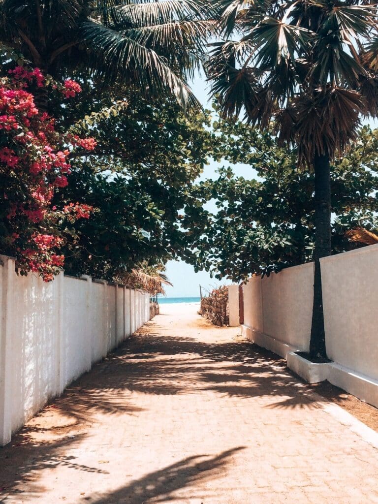 Arugam Bay : Un paradis caché pour les entrepreneurs du surf et du tourisme durable