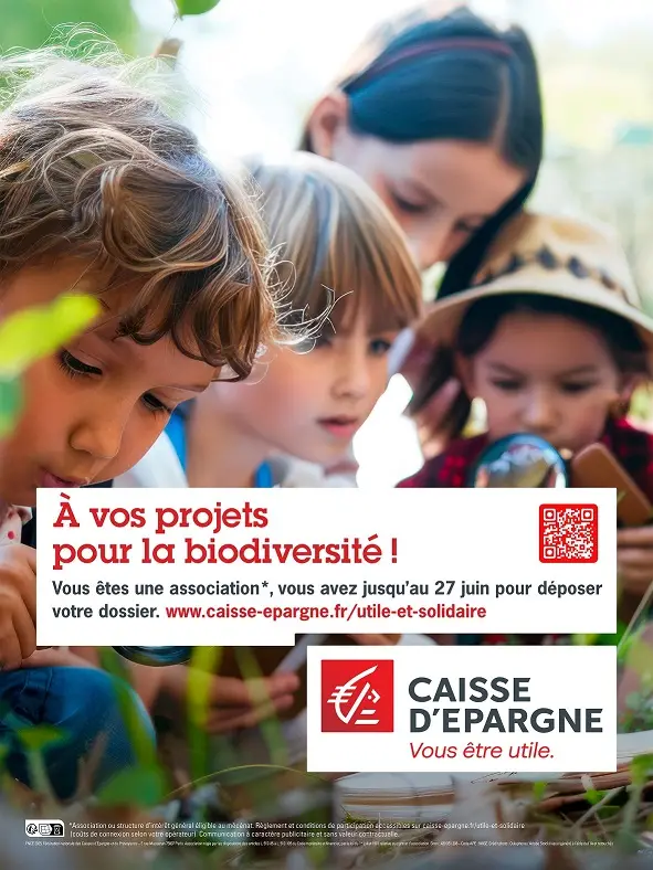 découvrez les avantages exclusifs de la caisse d'épargne auvergne limousin en 2025 pour gérer efficacement vos finances et bénéficier de services adaptés à vos besoins.