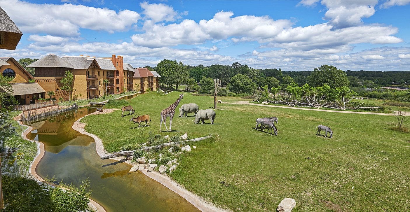 découvrez des aventures inoubliables au parc le pal, un parc d'attractions et animalier où sensations fortes et rencontres avec la nature vous attendent.