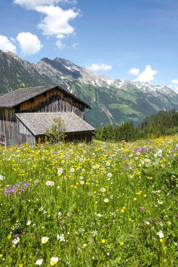 maison de montagne vacances d'été autriche achensee vorarlberg