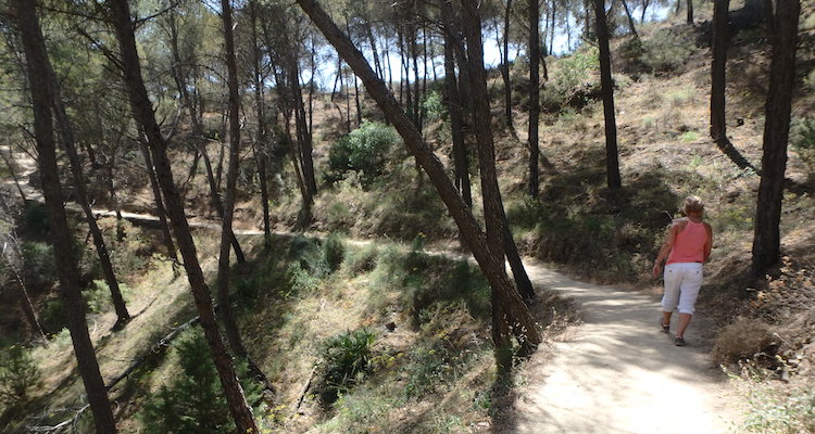 Route de randonnée la plus dangereuse de la forêt Espagne Caminito del Rey