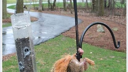 découvrez les services et les innovations de la caisse d'épargne auvergne limousin en 2025. profitez de solutions adaptées à vos besoins financiers, d'offres exclusives et d'un accompagnement personnalisé pour réaliser vos projets dans une région dynamique et engageante.