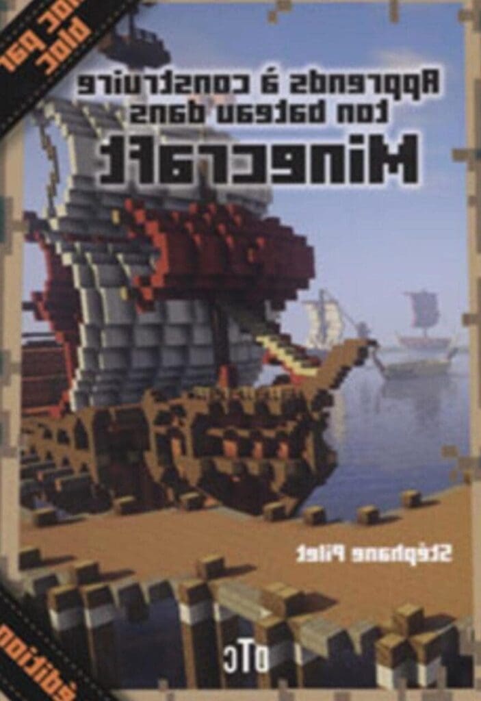 Construisez votre bibliothèque Minecraft avec habileté !