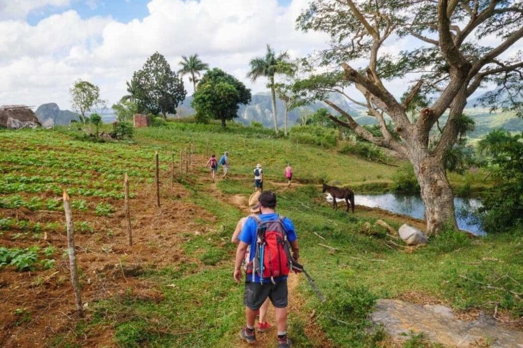 Cuba en affaires : Avis d&rsquo;experts pour investir et s&rsquo;implanter dans l&rsquo;île des Caraïbes