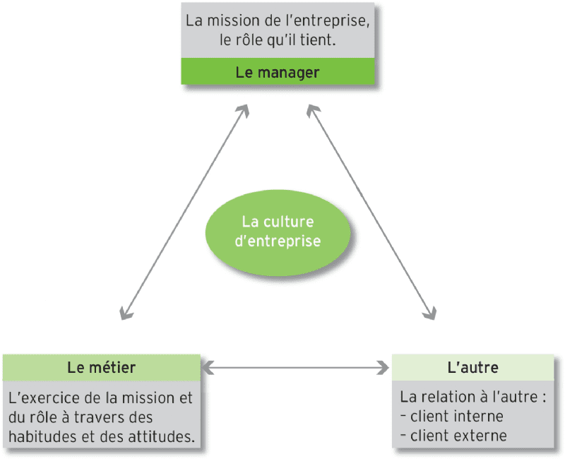découvrez comment une culture d'entreprise dynamique stimule l'innovation, renforce l'engagement des employés et améliore la performance globale. explorez nos stratégies pour créer un environnement de travail motivant et collaboratif.