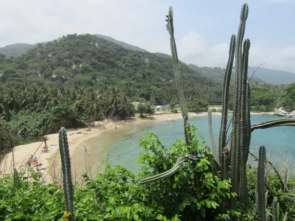 Découverte de Palomino, Colombie : Entre mer et montagnes, un paradis pour les entrepreneurs nomades