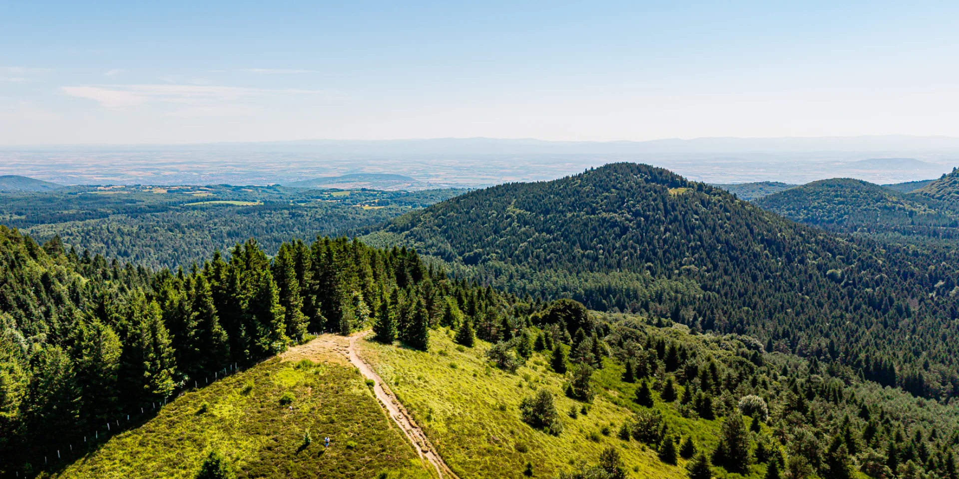 découvrez la faune remarquable d'auvergne en 2025 : espèces uniques, paysages préservés et biodiversité exceptionnelle pour les amateurs de nature et d'aventure.