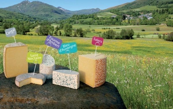 découvrez les délicieux fromages d’auvergne : saint-nectaire, cantal, bleu d’auvergne et bien d’autres. saveurs authentiques, savoir-faire traditionnel et terroir d’exception pour tous les amateurs de fromage français.