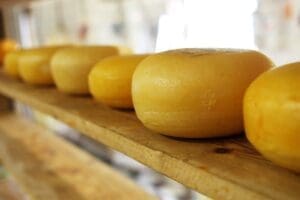 découvrez les fromages d'auvergne, une région riche en saveurs et en traditions. fromages affiné au lait de vache, chèvre et brebis, chaque variété offre un goût unique et authentique. plongez dans l'univers fromager auvergnat et laissez-vous séduire par les délices des spécialités locales.