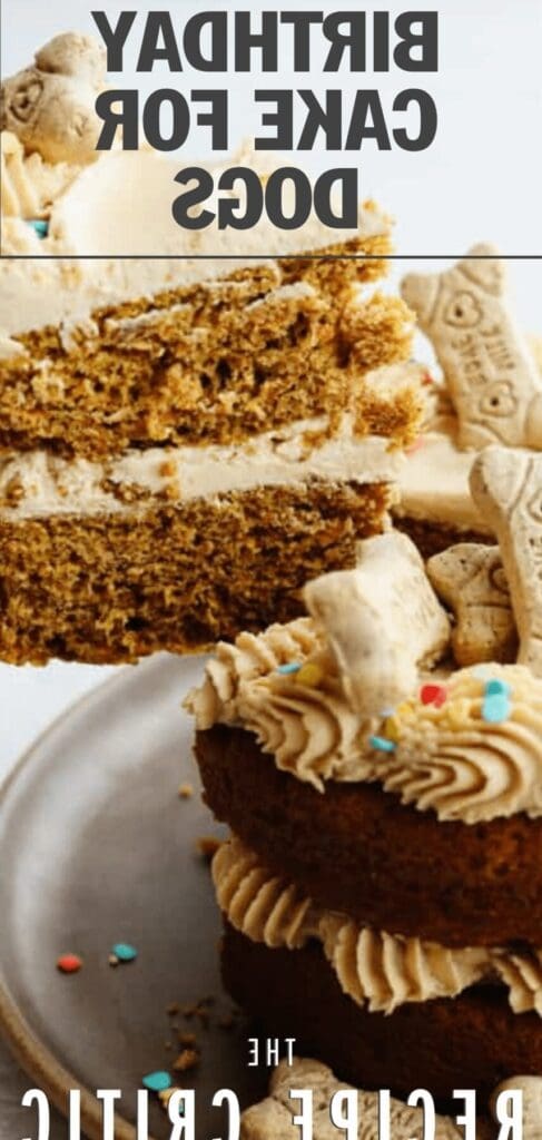 Gâteau d&rsquo;anniversaire pour chien : une délicieuse surprise pour fêter en beauté !
