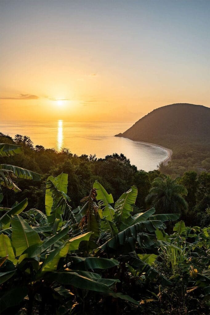Grande Anse en Guadeloupe: Un Paradis pour les Entrepreneurs du Tourisme à Découvrir
