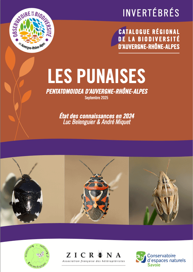 découvrez le guide complet auvergne-rhône-alpes 2025 pour explorer les meilleures destinations, activités, et événements de la région cette année.