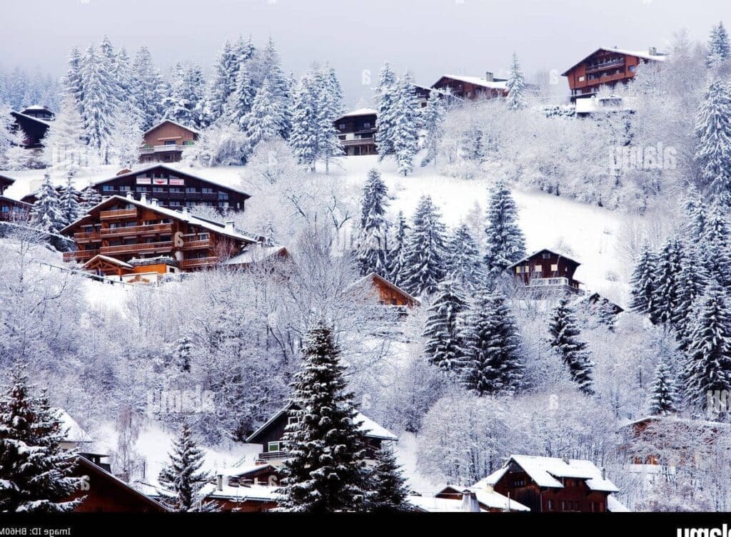 La Neige de Megève : Comment Les Entreprises de Station Transforment l&rsquo;Or Blanc en Succès Économique