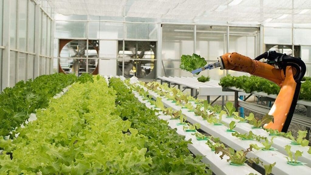 La révolution de l&rsquo;agriculture bio en 2079