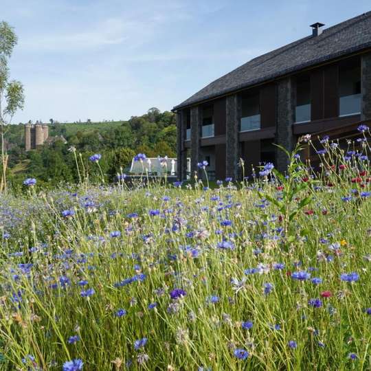 découvrez les meilleurs hôtels spa en auvergne pour un séjour détente et bien-être au cœur d'une nature préservée.