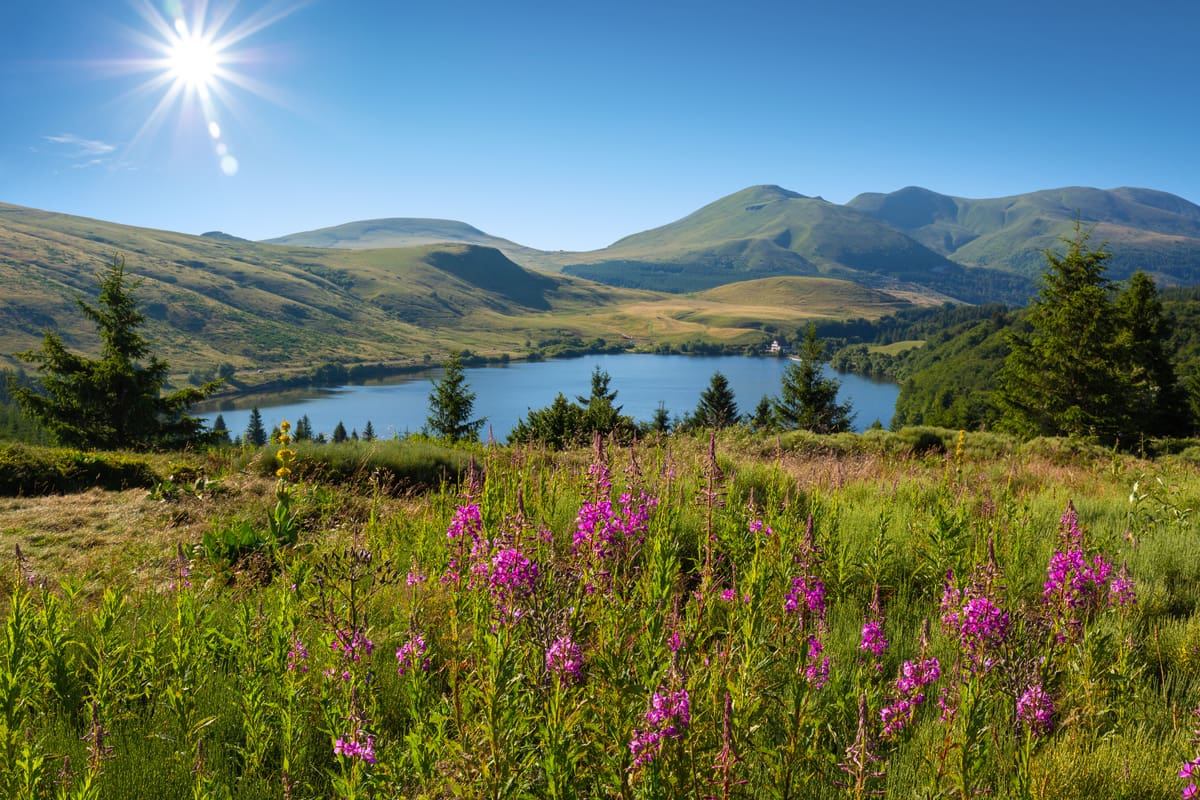 découvrez les merveilles des lacs d'auvergne en 2025 : un voyage naturel entre paysages enchanteurs, activités de plein air et détente au cœur d'une région préservée.