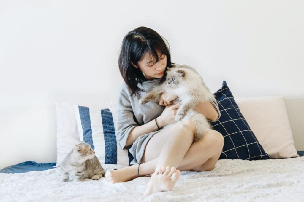 Comment Coco Chat est devenu un chat en ligne populaire