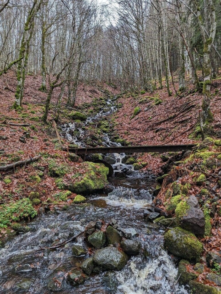 À la découverte de Picherande en Auvergne : un joyau caché du Massif central