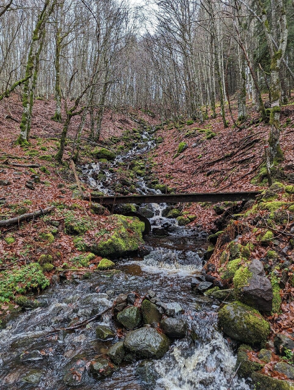découvrez picherande, joyau du massif central, une destination incontournable alliant nature préservée, paysages époustouflants et richesses culturelles.