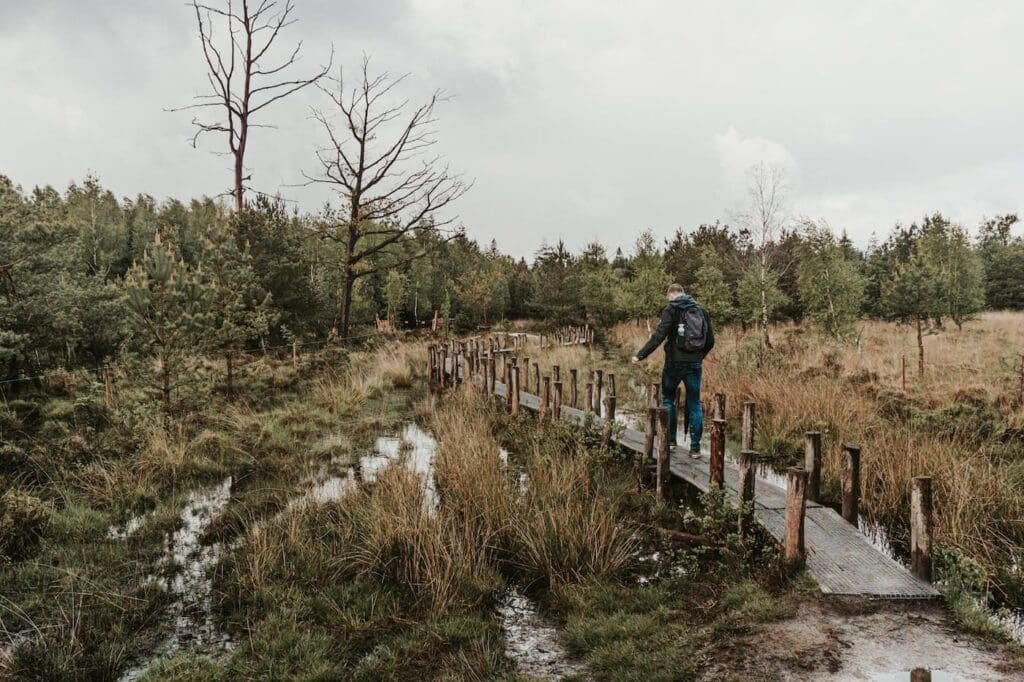 Marcher sur le chemin des planches à Drenthe