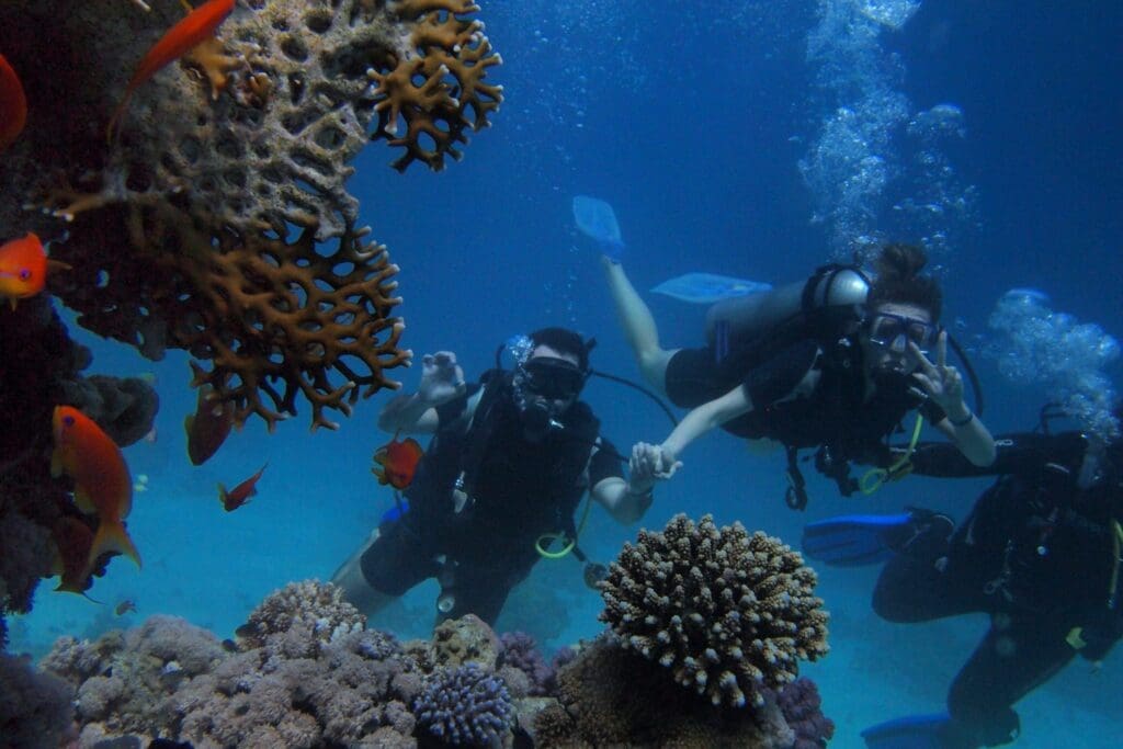 Plongée dans l&rsquo;économie bleue : L&rsquo;impact du tourisme sur le récif de Ningaloo