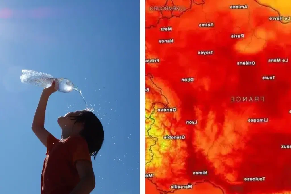 Prévisions Météo à Dijon : Impacts et Stratégies pour le Secteur Agricole